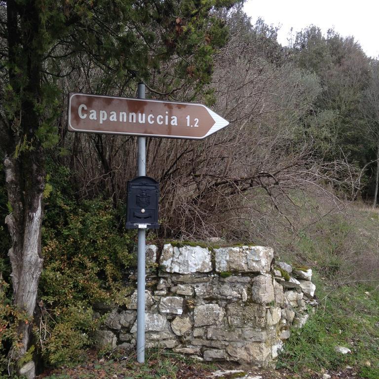 Villa Capannuccia 카스텔리나인키안티 외부 사진